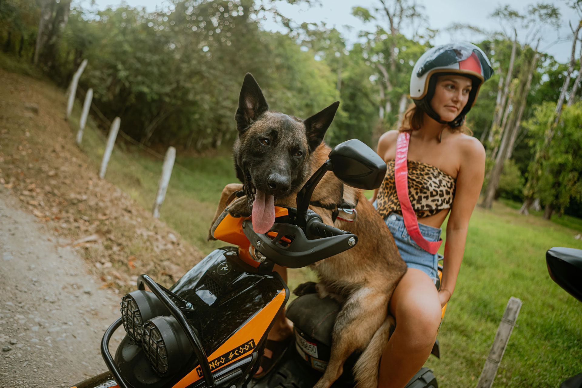 Girl rides the scooter with her dog