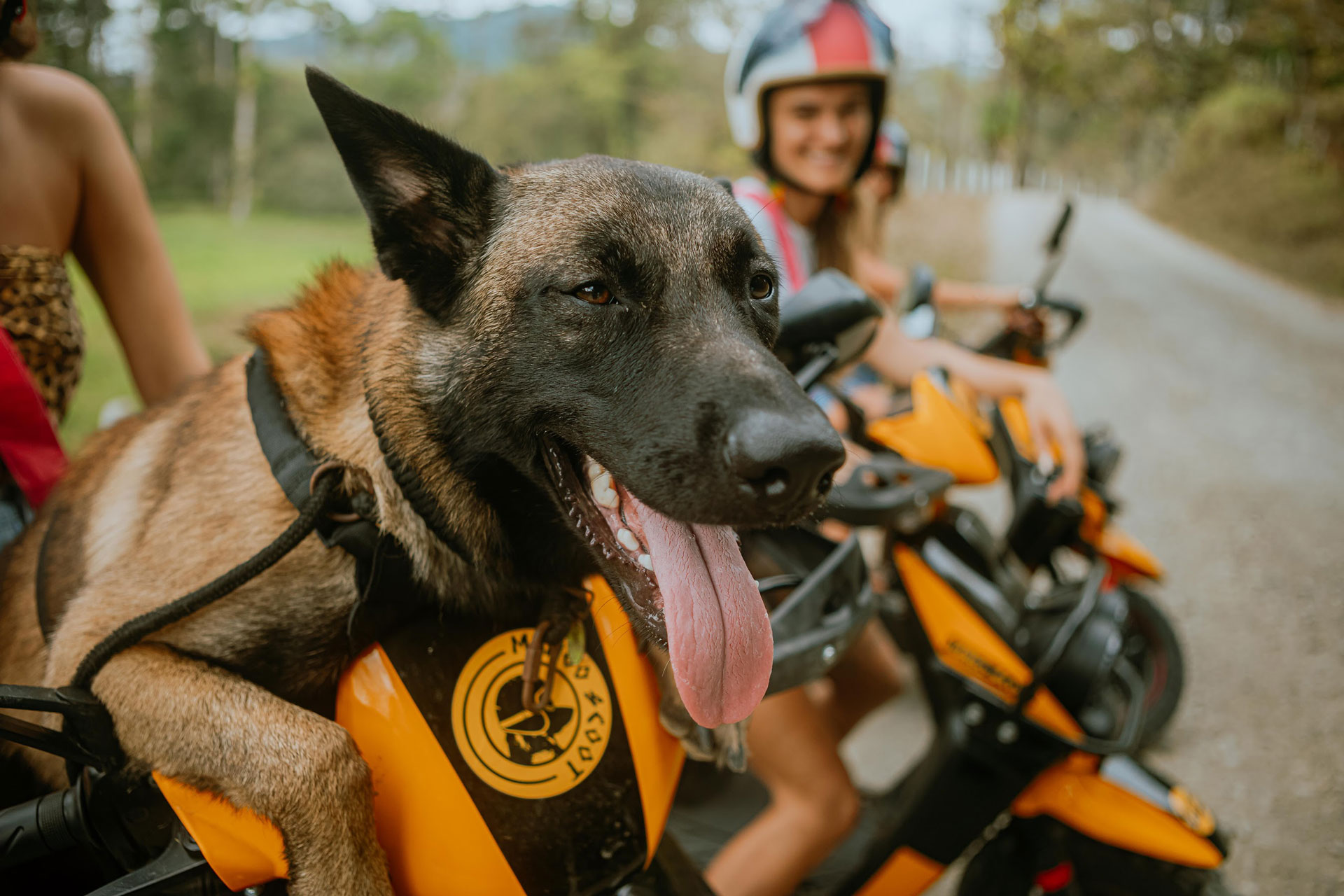 Dog and friends hanging out on scooter